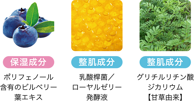 その他の配合成分